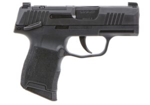 A black gun is shown with the trigger pointed up.